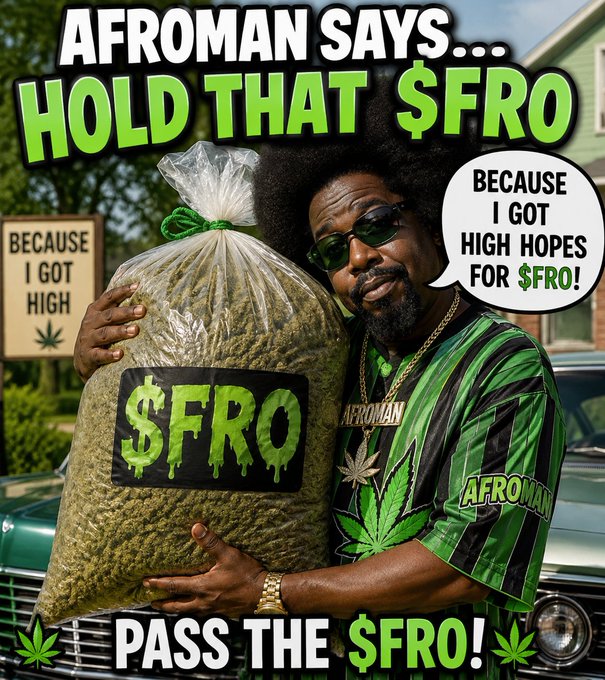 Meme image of a man labeled 'AFROMAN' holding a bag labeled '$FRO' with text reading 'AFROMAN SAYS... HOLD THAT $FRO' and 'BECAUSE I GOT HIGH HOPES FOR $FRO!' and 'PASS THE $FRO!'