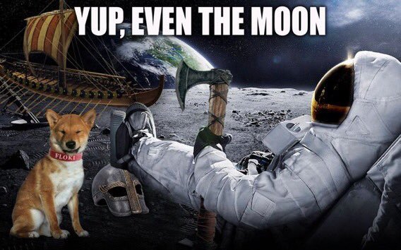 A meme image captioned 'YUP, EVEN THE MOON' showing an astronaut on the moon's surface planting a flag, accompanied by a Shiba Inu dog wearing a 'FLOKI' collar, with a viking ship and a small dog in armor in the background.