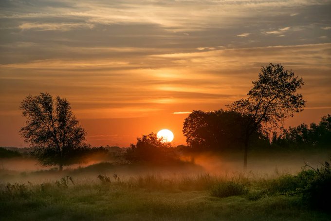 A serene landscape photograph showing the sun setting over a misty field with silhouettes of trees against an orange and yellow sky.