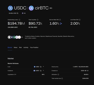 A dark-themed cryptocurrency dashboard displays loan details for USDC and cirBTC, showing outstanding loans of $194.78M and $90.72k respectively.
