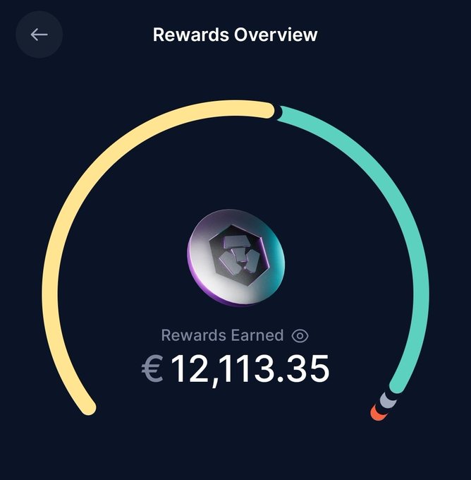 A 'Rewards Overview' screen displaying a circular progress meter partially filled in yellow, with a central logo and text showing 'Rewards Earned' of '€12,113.35' on a dark background.