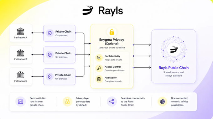 A diagram for 'Rayls' explains its architecture, showing how multiple 'Private Chains' from institutions connect through an 'Enigma Privacy' layer to the 'Rayls Public Chain'.
