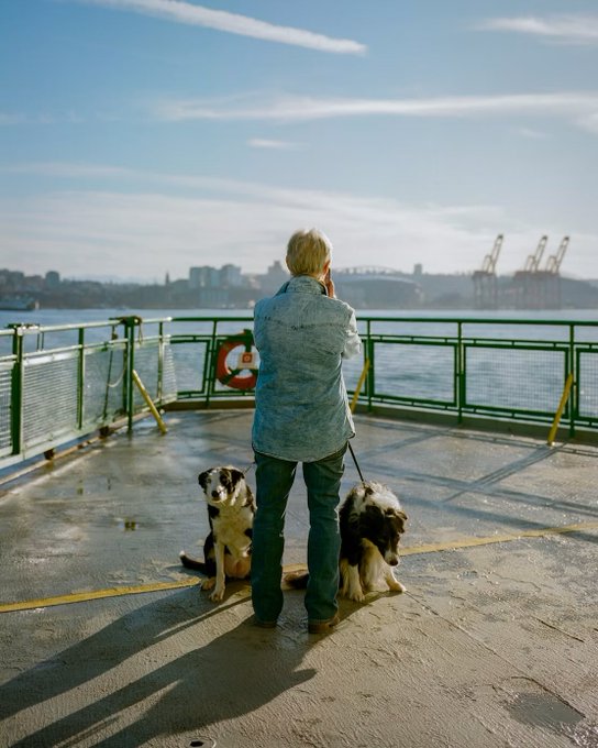 A person wearing a denim jacket stands with their back to the camera on a ferry deck, holding leashes attached to two dogs who are sitting and looking forward. Industrial cranes are visible across the water in the background.