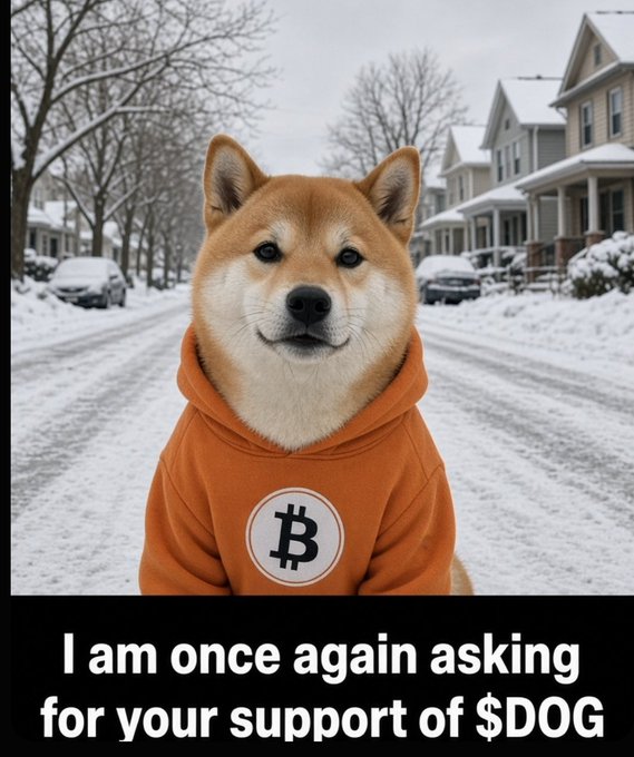A Shiba Inu dog wearing an orange hoodie with a Bitcoin "₿" logo stands in a snowy suburban street with text reading "I am once again asking for your support of $DOG."