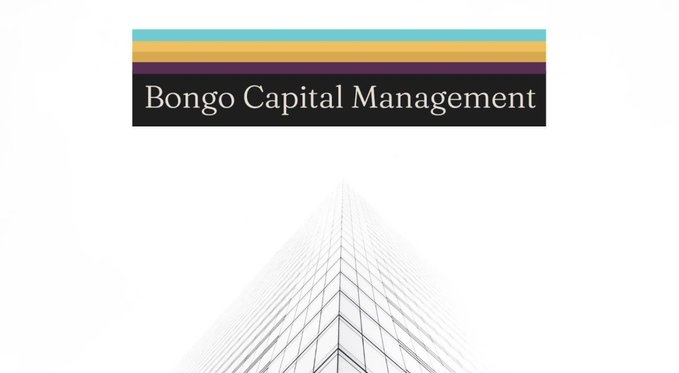 A presentation slide displays the "Bongo Capital Management" title banner with colored accent stripes above a faint architectural line drawing, serving as the header for a shareholder update dated 8 October 2026.