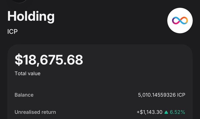A crypto portfolio screen showing 'Holding' ICP (Internet Computer) with a total value of $18,675.68, a balance of 5,010.14559326 ICP, and an unrealised return of +$1,143.30 (6.52%).