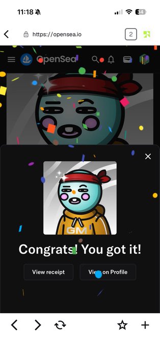 A mobile screenshot from OpenSea.io celebrating an NFT purchase, displaying a cartoon character with the text 'Congrats! You got it!' along with 'View receipt' and 'View on Profile' buttons.