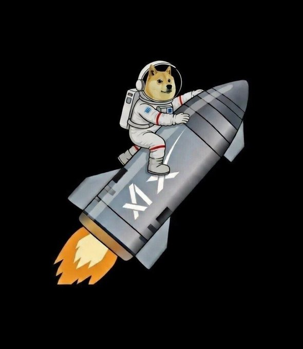 The image features a cartoon doge (DOG) wearing an astronaut suit, riding a rocket ship with a white star on its side against a black background. The caption below the image reads "Hodl your Dogecoin". This suggests that there might be some connection between the doge and cryptocurrency in the image or possibly related to the post's content.

The main focus of the image is the cartoon doge, who appears to be an astronaut on a rocket ship. The rocket ship has a white star on its side, which could represent a symbol for space exploration or a logo for a company that specializes in space travel.