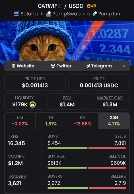 The image shows a token tracker page for CATWIF/USDC on Solana, featuring a cat wearing a blue knit hat meme as the token's mascot, with current price at $0.001413 and a $1.3M market cap. The post playfully questions who launched the $CATWIF memecoin while expressing affection for the hat-wearing cat, perfectly matching the token's cat-in-hat theme displayed on the tracker.