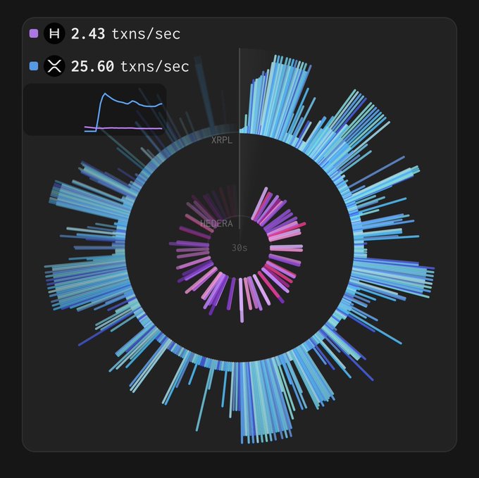 A digital visualization showing transaction speeds comparing Hedera (H) at 2.43 txns/sec and XRP (X) at 25.60 txns/sec, with colorful radial bar charts over a 30s window.