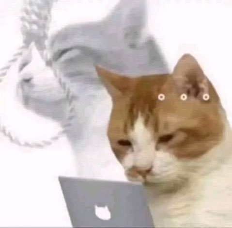 An orange and white cat sits in front of a laptop with the Apple logo, looking at the screen with small eyes added above its head.