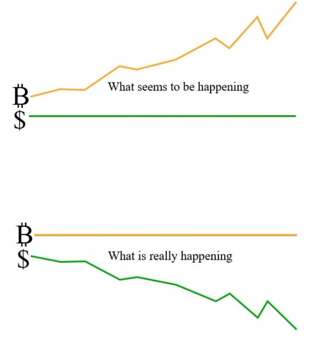 The image is a two-panel meme chart comparing Bitcoin (B) and the US Dollar ($): the top panel, labeled "What seems to be happening," shows Bitcoin's value rising sharply while the dollar appears as a flat line, and the bottom panel, labeled "What is really happening," reveals the inverse—that Bitcoin is actually stable while the dollar is steadily declining. The meme visually reinforces the post's claim that Bitcoin serves as a stable store of value while the dollar loses purchasing power over time.