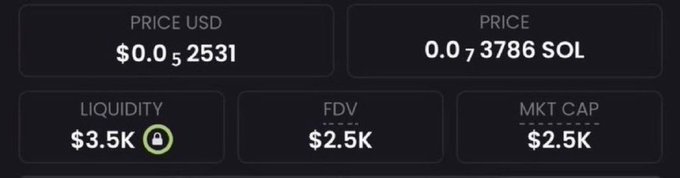 A dark-themed crypto tracking dashboard displays a token priced at $0.002531 USD (0.007386 SOL) with a liquidity of $3.5K, FDV of $2.5K, and market cap of $2.5K, visually reinforcing the post's claim of a low-cap meme token trading at a 5K market cap with massive potential upside.