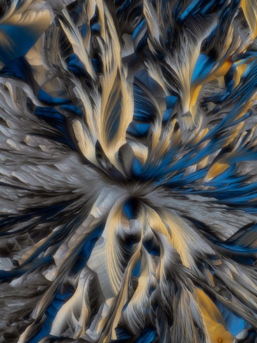 An abstract digital artwork displays swirling, feather-like or feather-textured patterns in shades of blue, white, and gold radiating from a central point.