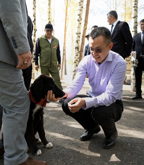 A man in a purple shirt and glasses crouches down to pet a black and white dog with a red bandana, while other people stand in the background near birch trees.