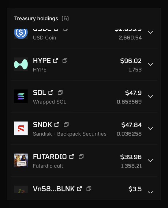 A dark-themed mobile interface showing 'Treasury holdings (6)' with cryptocurrency assets including 'USD Coin' valued at $2,660.54, 'HYPE' at $96.02, 'SOL' at $47.9, 'SNDK' at $47.84, 'FUTARDIO' at $39.96, and 'Vn58...BLNK' at $3.5.