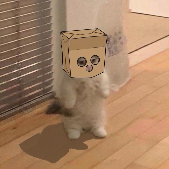 A fluffy white cat stands on a wooden floor with a cartoon cardboard box drawn over its face, featuring wide eyes and a small pink nose. The playful image matches the "gmichi" post, likely referencing the cat known as GMICHI, a popular fluffy feline internet personality.
