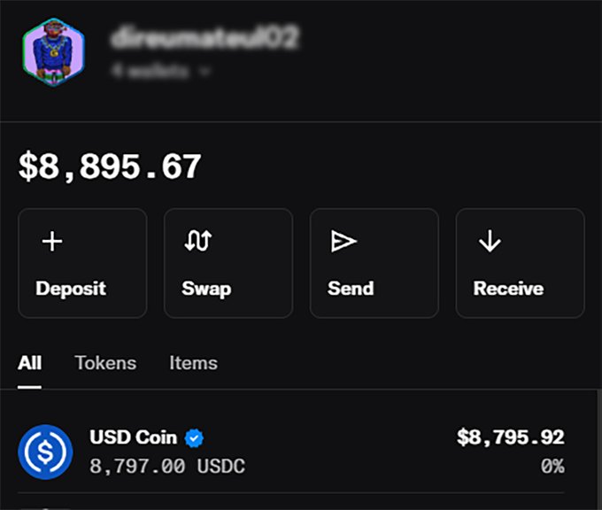 A crypto wallet interface showing user 'dreamated012' with a total balance of $8,895.67, primarily held in 8,797 USDC ($8,795.92), featuring Deposit, Swap, Send, and Receive buttons.