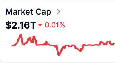 The image displays a market cap chart showing $2.16T with a 0.01% decline, visually emphasizing the stagnation and decline of the crypto market's total value, reinforcing the post's lament about the industry's inability to compete with a single private unicorn company's valuation.