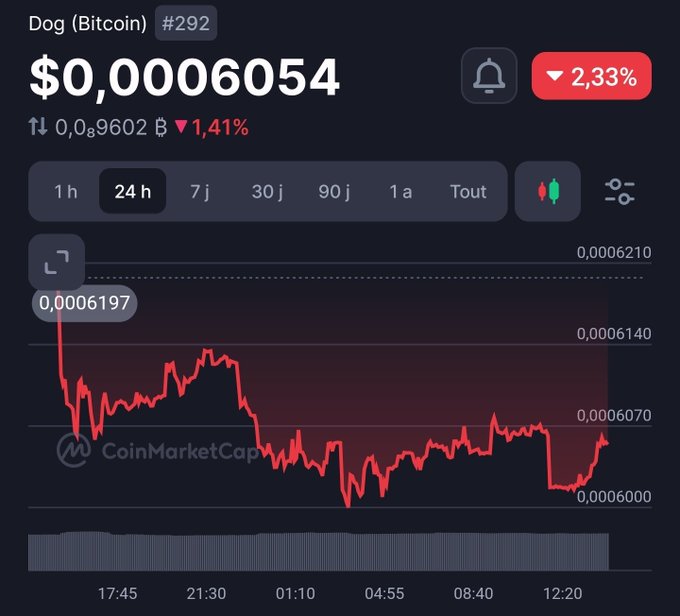 A cryptocurrency chart showing 'Dog (Bitcoin)' with ticker, priced at $0.0006054, down 2.33%, displaying price movement over a 24-hour period from CoinMarketCap.