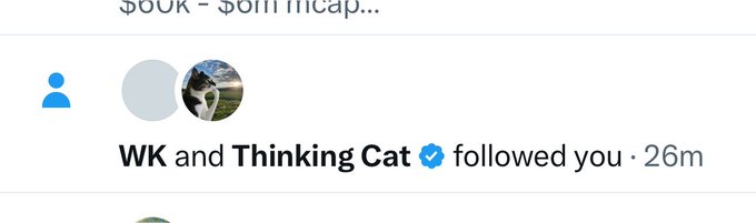 A Twitter notification shows that "WK and Thinking Cat" (a verified account) followed the user 26 minutes ago, aligning with the post's "$Hmm" likely expressing surprise or curiosity about the follow notification.