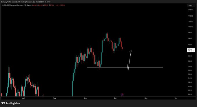 A TradingView daily candlestick chart of the $HYPE/USDT perpetual contract on Bybit shows the asset trading around $89.69, with an annotated white arrow pointing down to a horizontal support line near $76, illustrating the post's view that a dip to that level would present a buying opportunity.
