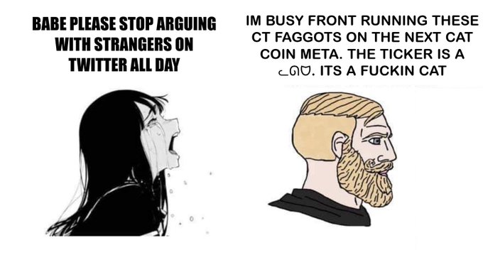 The meme contrasts a crying woman labeled "BABE PLEASE STOP ARGUING WITH STRANGERS ON TWITTER ALL DAY" with a "Chad" man responding "IM BUSY FRONT RUNNING THESE CT FAGGOTS ON THE NEXT CAT COIN META. THE TICKER IS A ᓚᘏᗢ. ITS A FUCKIN CAT." It humorously justifies cryptocurrency hype around a "cat coin" simply because the ticker symbol ($ᓚᘏᗢ) is literally an ASCII drawing of a cat face.