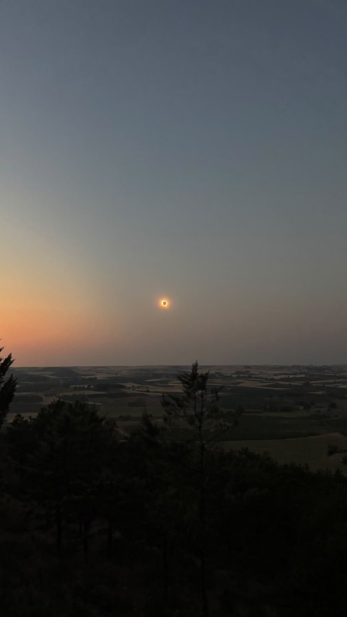 A landscape photograph of a total solar eclipse over a rural countryside at dusk, framed by silhouetted pine trees in the foreground.