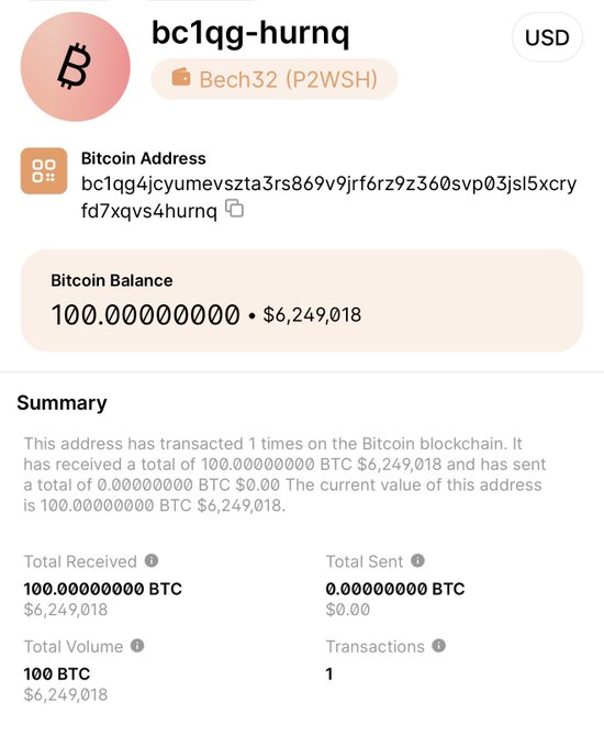 A Bitcoin wallet interface displays the address "bc1qg-hurnq" (Bech32 P2WSH format) holding exactly 100.00000000 BTC, valued at $6,249,018. The summary confirms the address has received 100 BTC across 1 transaction and sent 0 BTC, visually verifying BitGo CEO Mike Belshe's challenge to AI models to attempt stealing the funds, with no outflows detected on-chain.