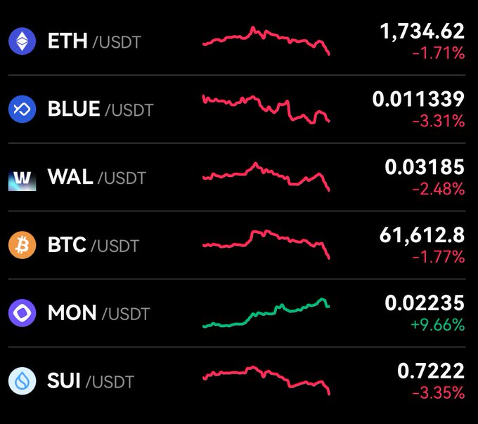 A cryptocurrency price tracking screen showing ETH, BLUE, WAL, BTC, MON, and SUI all paired with USDT, with most showing red declines except MON at +9.66%.