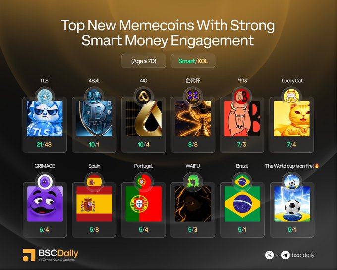 The image features a poster with various cartoon characters, including a cat, a robot, and a dog, as well as several different countries' flags. The poster also displays some numbers and text that seem to be related to cryptocurrency or smart money management. The main focus of the image is on the post about memecoins and their strong smart money engagement.