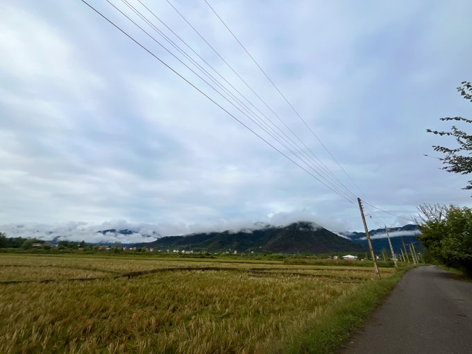 A rural landscape features a harvested field and narrow paved road beneath overhead power lines, with mist-covered green mountains and scattered buildings in the distance.
