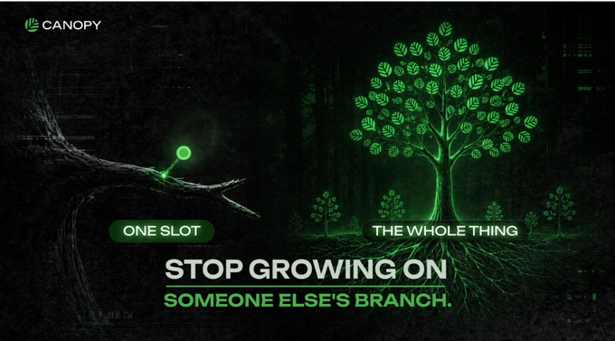 The image features a green tree with lots of leaves, surrounded by other trees that are also illuminated with green lights. The background appears to be dark, creating an atmospheric setting for the scene. There's text written above the tree that reads "Stop growing on someone else's branch. One slot on a crowded chain. Shared congestion. Rules that can change overnight. On @CNPYNetwork you get the whole tree". This message seems to be related to the image of the green tree, possibly encouraging people not to grow on others or to focus on their own growth within a shared environment.