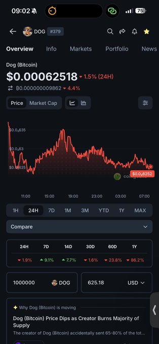 CoinGecko cryptocurrency tracker screen showing Dog (Bitcoin) DOG #379 price at $0.00062518 (+1.5% 24H), a 24H price chart, and news about Dog (Bitcoin) price dipping as the creator burns the majority of supply.