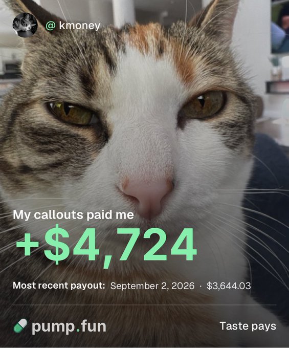 The image features a close-up of a serious-looking calico cat with text overlay reading "My callouts paid me +$4,724" and "Most recent payout: September 2, 2026 · $3,644.03," branded with the @kmoney handle and pump.fun logo alongside the tagline "Taste pays."

The image directly supports the post by serving as visual proof of the user's profitable "callouts" on pump.fun, showing concrete earnings figures ($4,724 total, $3,644 most recent) to validate their claim that identifying trends and doing callouts in performing coins is a lucrative low-risk trading strategy.