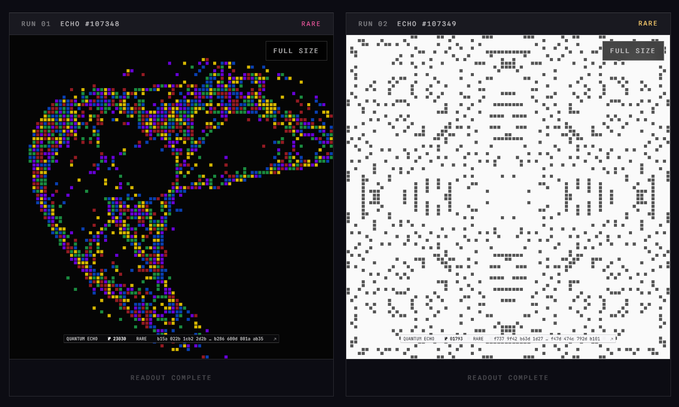 Two side-by-side digital art pieces labeled 'RUN 01 ECHO #107348 RARE' and 'RUN 02 ECHO #107349 RARE', displaying a colorful pixelated bird silhouette and a matching pattern of binary code dots.
