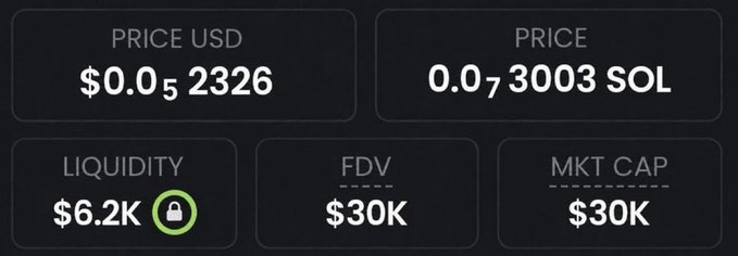 A cryptocurrency dashboard displays a token priced at $0.0₅2326 USD (0.0₇3003 SOL) with only $6.2K liquidity, a $30K market cap, and $30K fully diluted valuation (FDV). The image illustrates the low market cap of a newly launched meme coin being promoted as the next potential "runner" to multiply investments, consistent with the post's claims of massive returns from small-cap tokens.