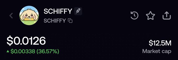 A cryptocurrency price display for 'SCHIFFY' showing a price of '$0.0126', a 24-hour increase of '$0.00338 (36.57%)', and a market cap of '$12.5M'.