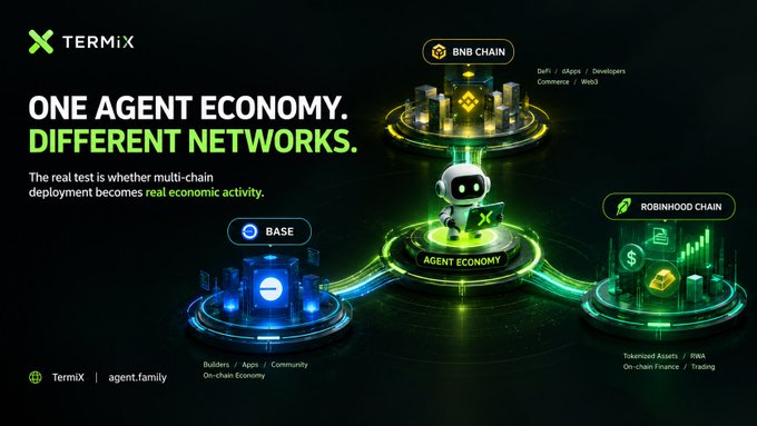 TERMIX promotional graphic titled 'ONE AGENT ECONOMY. DIFFERENT NETWORKS.' showing a central robot connected to three blockchain networks: BNB CHAIN, BASE, and ROBINHOOD CHAIN.