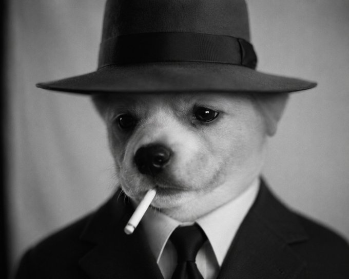 A black and white portrait of a small white dog wearing a fedora, a dark suit, and a tie, with a cigarette dangling from its mouth.