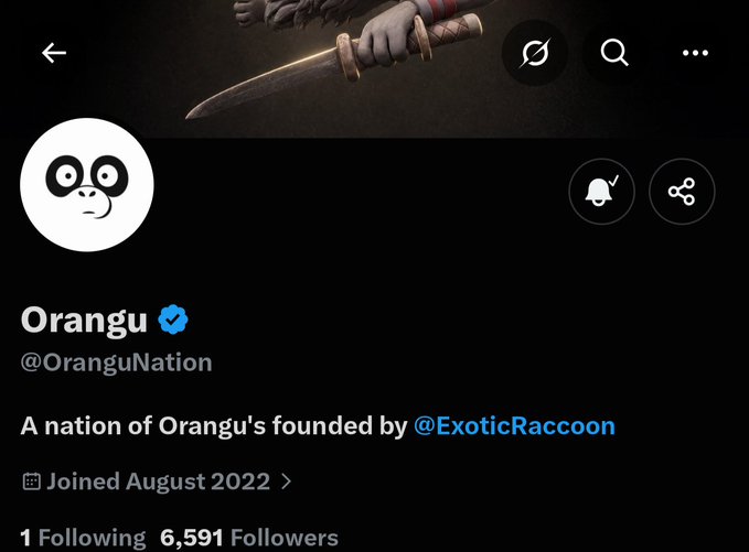 A Twitter profile for "Orangu" (@OranguNation), a verified account with 6,591 followers and a bio stating "A nation of Orangu's founded by @ExoticRaccoon," having joined in August 2022. The image relates to the post highlighting the rapid growth of the Orangu Nation project, which gained over 5,000 followers shortly after announcement, with Ethereum being a likely blockchain focus.