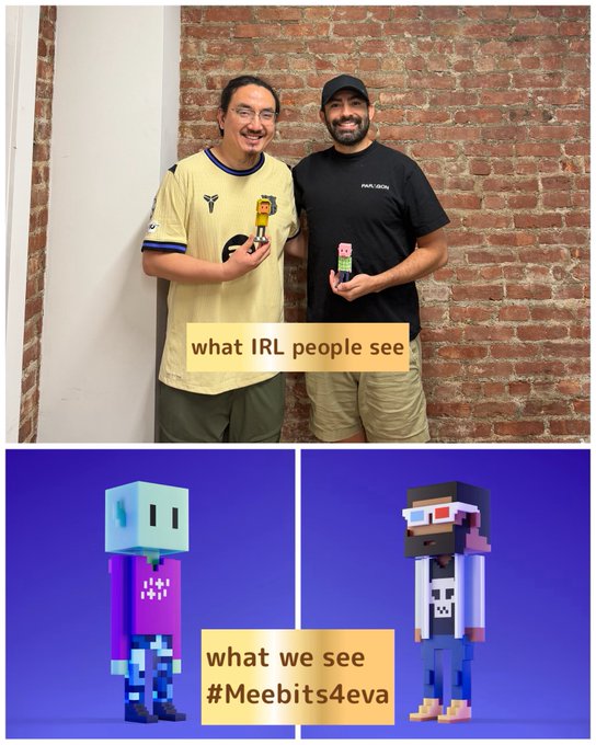 Two men pose together against a brick wall holding small Meebits figurines, with text reading "what IRL people see" above, while below are the pixelated 3D avatars "what we see #Meebits4eva," illustrating the contrast between their real-world appearance and their digital Meebits NFT identities.