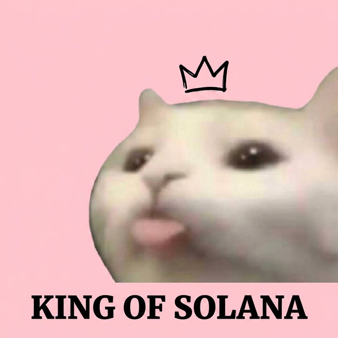 A meme featuring a close-up of a cat's face with a small drawn crown, set against a pink background with the text 'KING OF SOLANA'.