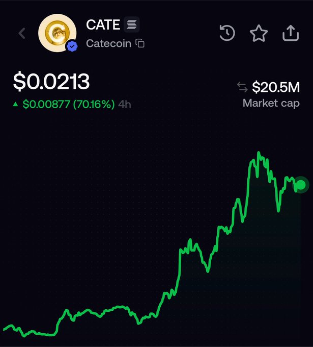 A cryptocurrency price chart for CATE (Catecoin) showing a price of $0.0213, a 4h gain of $0.00877 (70.16%), and a market cap of $20.5M.
