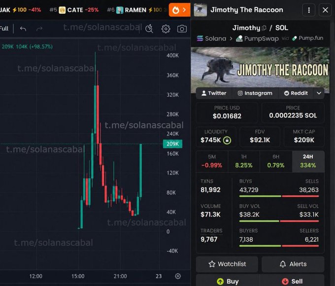 A trading chart shows the JAK, CATE, and RAMEN tokens alongside a token page for "Jimothy The Raccoon" ($JIMOTHY) on Solana, displaying a current market cap of $209K and 334% gains in 24 hours. The chart and stats visually back up the post's claim of catching the coin at 209K market cap, illustrating the early entry point before its massive 235x run.