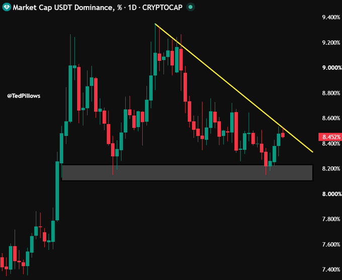A daily candlestick chart of "Market Cap USDT Dominance, % · 1D · CRYPTOCAP" shows USDT.D at 8.452%, testing a descending yellow trendline resistance before being rejected near it, with a key support zone highlighted around 8.15–8.20%—aligning with the post's note that USDT.D faced rejection from its resistance trendline, which is bullish for Bitcoin.
