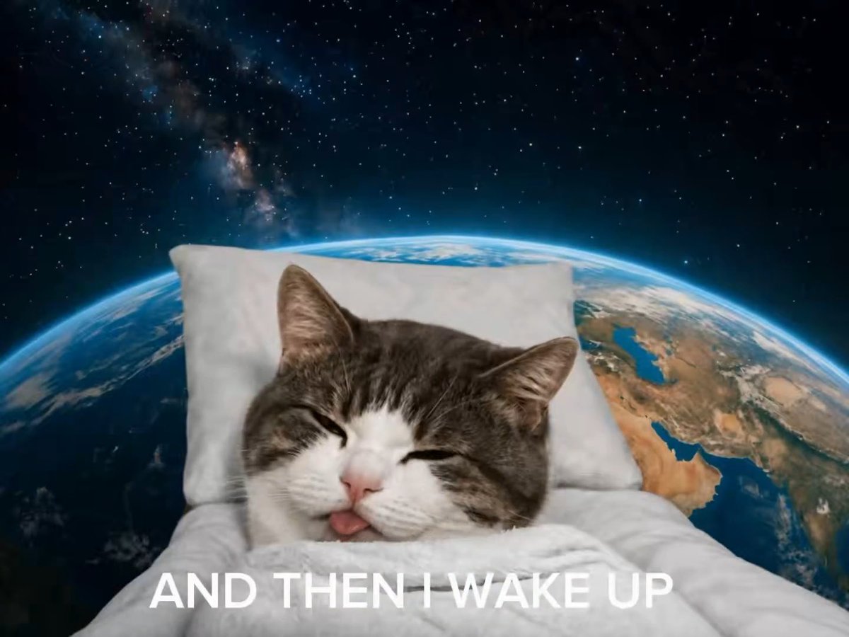A humorous meme featuring a sleeping cat tucked into a pillow with Earth and outer space as the background, captioned 'AND THEN I WAKE UP'.