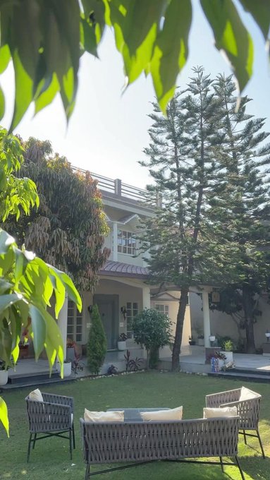 A view of a lush green backyard with outdoor wicker seating, leading to a two-story house partially obscured by tall pine trees and overhanging foliage.