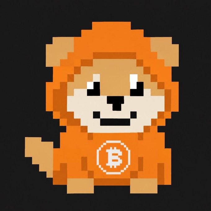 The image features a small, cartoonish dog wearing an orange hoodie with the word "BET" written on it. This unique combination of elements creates a fun and playful atmosphere that could be related to the post about Bitcoin or digital currency. The dog's cheerful expression adds a lighthearted touch to the discussion surrounding this topic.