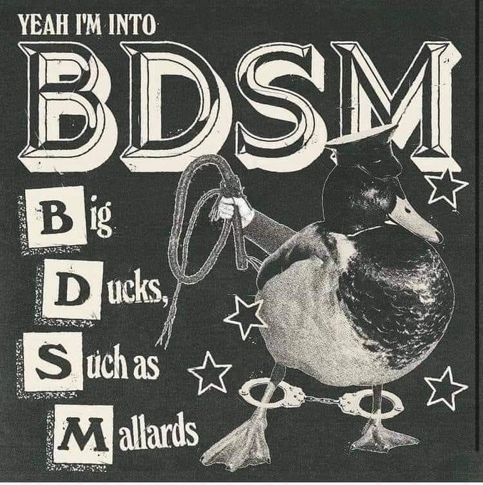 Vintage-style graphic with text "YEAH I'M INTO BDSM" featuring an acronym breakdown "Big Ducks, Such as Mallards" with an illustration of a duck.